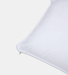 Home Deco and More Ted Pillow, Packshot View