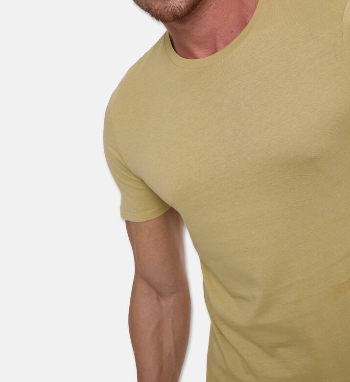 Galeries Lafayette Shishron Organic Cotton T-shirt, Beige, L, Model View