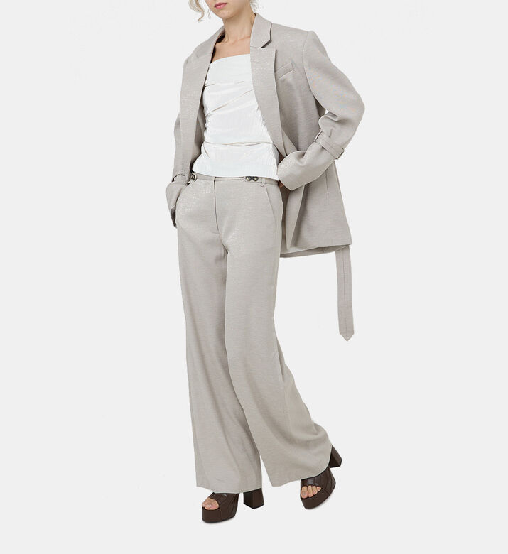 Hudson Wide-leg Pants