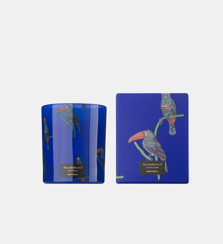 Jungletopia Rain Forest Candle Jar