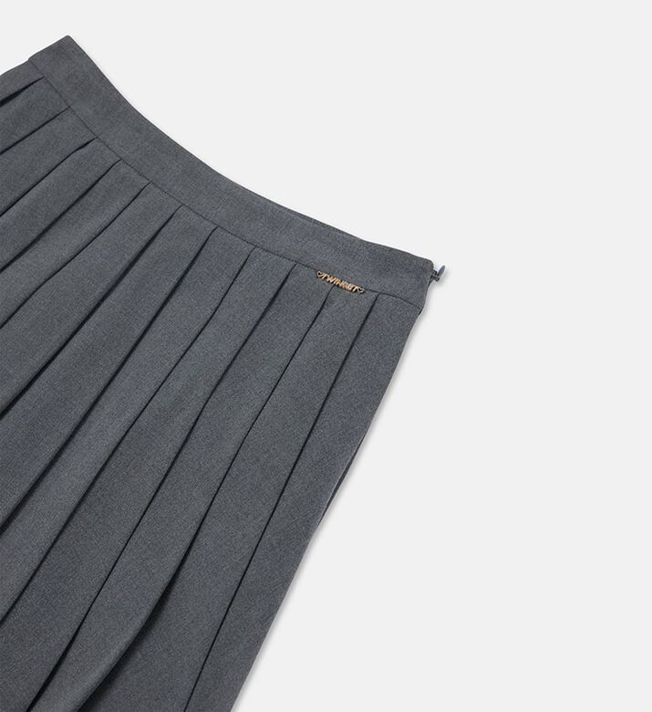 Twinset Skirt Woven, Packshot View