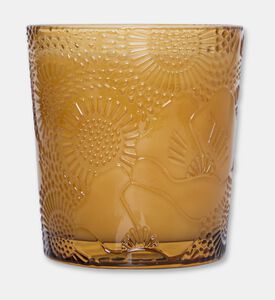 Voluspa Baltic Amber Classic Candle, Packshot View