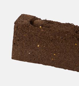 ثوم صيني عضوي