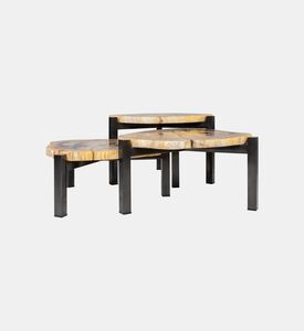 Versmissen Petrified Wood Steel Coffee Table Set, Packshot View