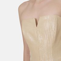 Radia Paillettes Bustier