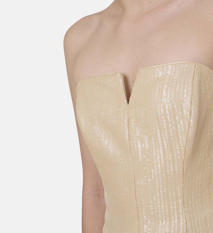 Radia Paillettes Bustier