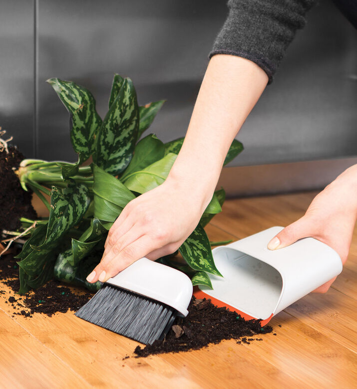 مجموعة فرشاة ومجرفة