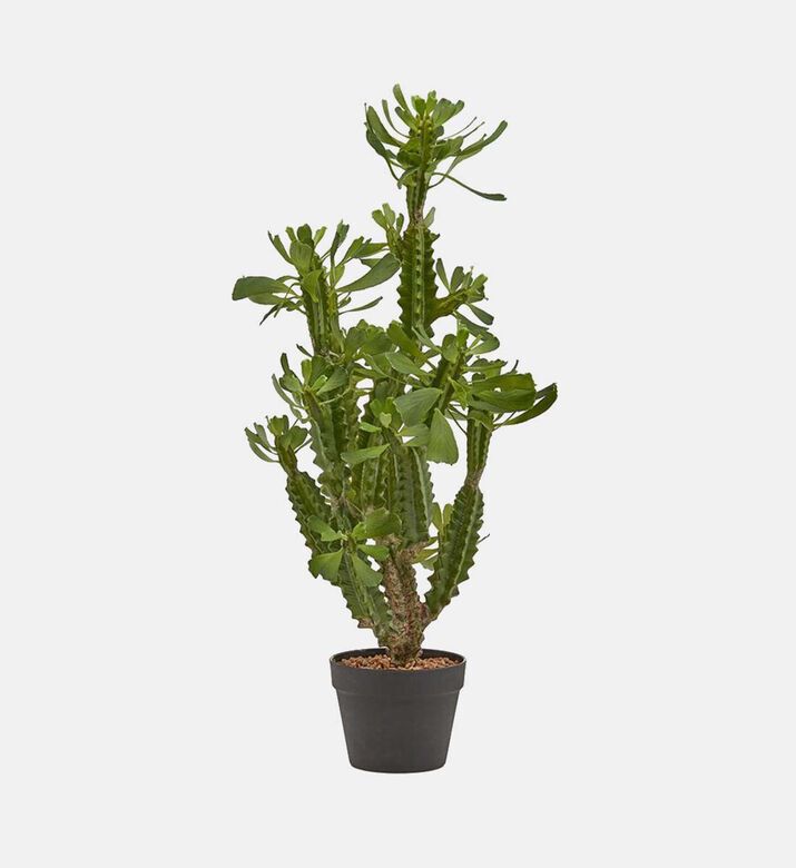 Edg Succulent West Cactus Pvc Pot - 89 Cm, Packshot View
