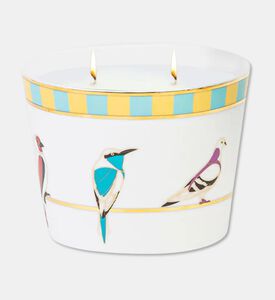 Silsal Sarb Naseem Candle - 500g, Packshot View