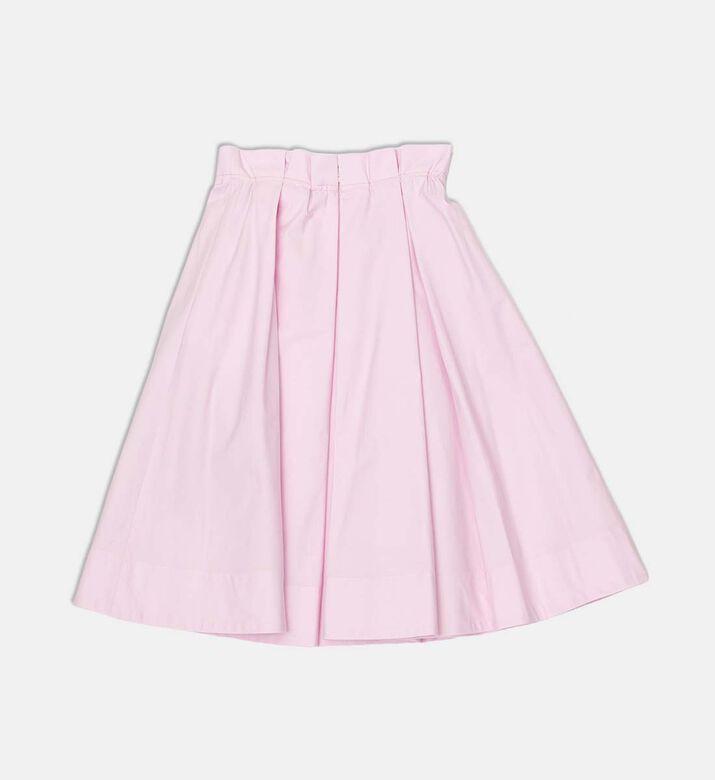 Pleated Design Flared Skirt