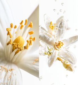 Maison Margiela Blaze Of Stillness Eau De Parfum, 75-ml, Packshot View