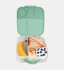 B.Box Segmented Bento Lunchbox, Packshot View