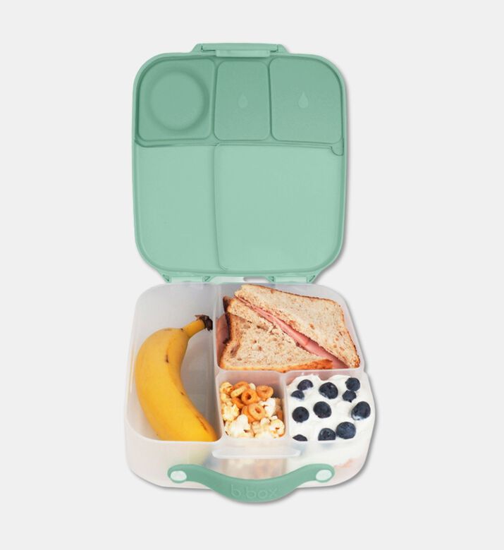 B.Box Segmented Bento Lunchbox, Packshot View