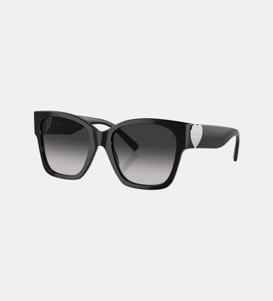 Acetate Square Shape Sunglasses 54