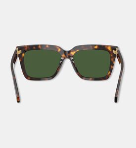 Versace Square-shaped Acetate Havanna Sunglasses, Packshot View