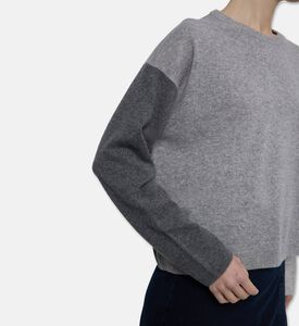 Ba and Sh Jump Chaya, Model View