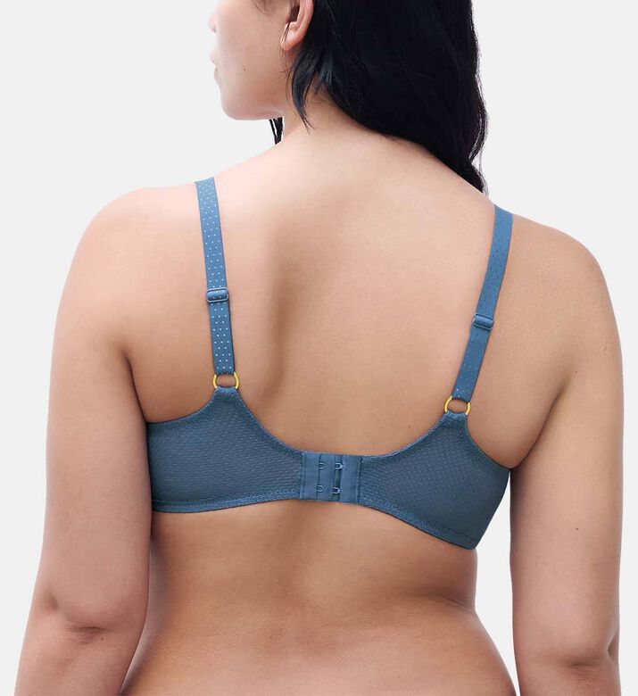 Chantelle Sheer Mesh Demi-cup Bra, Blue, 105, D, Model View