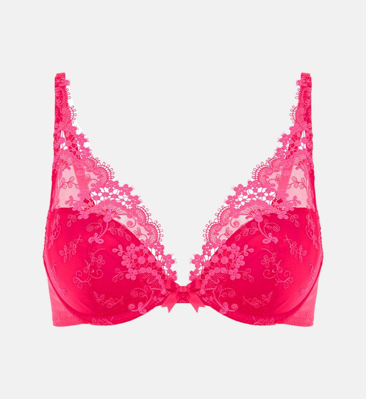 V-neck Embroidered Bra