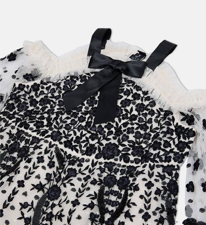 Embroidered Tulle Tiered Dress