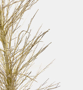 شجرة الزان بأضواء 180 سم