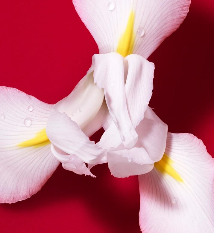 Armani Beauty Edp Passione Red Bloom, 100-ml, Packshot View