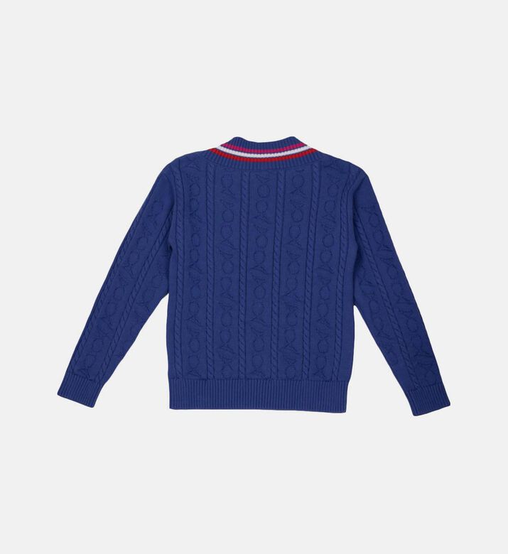 Cotton Embroidered Knit Jumper