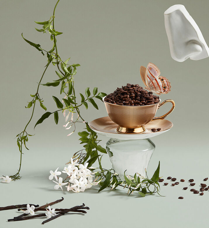 عطر ذو بيويتشينغ ياسمين