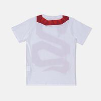 Snake Graphic Design T-shirt