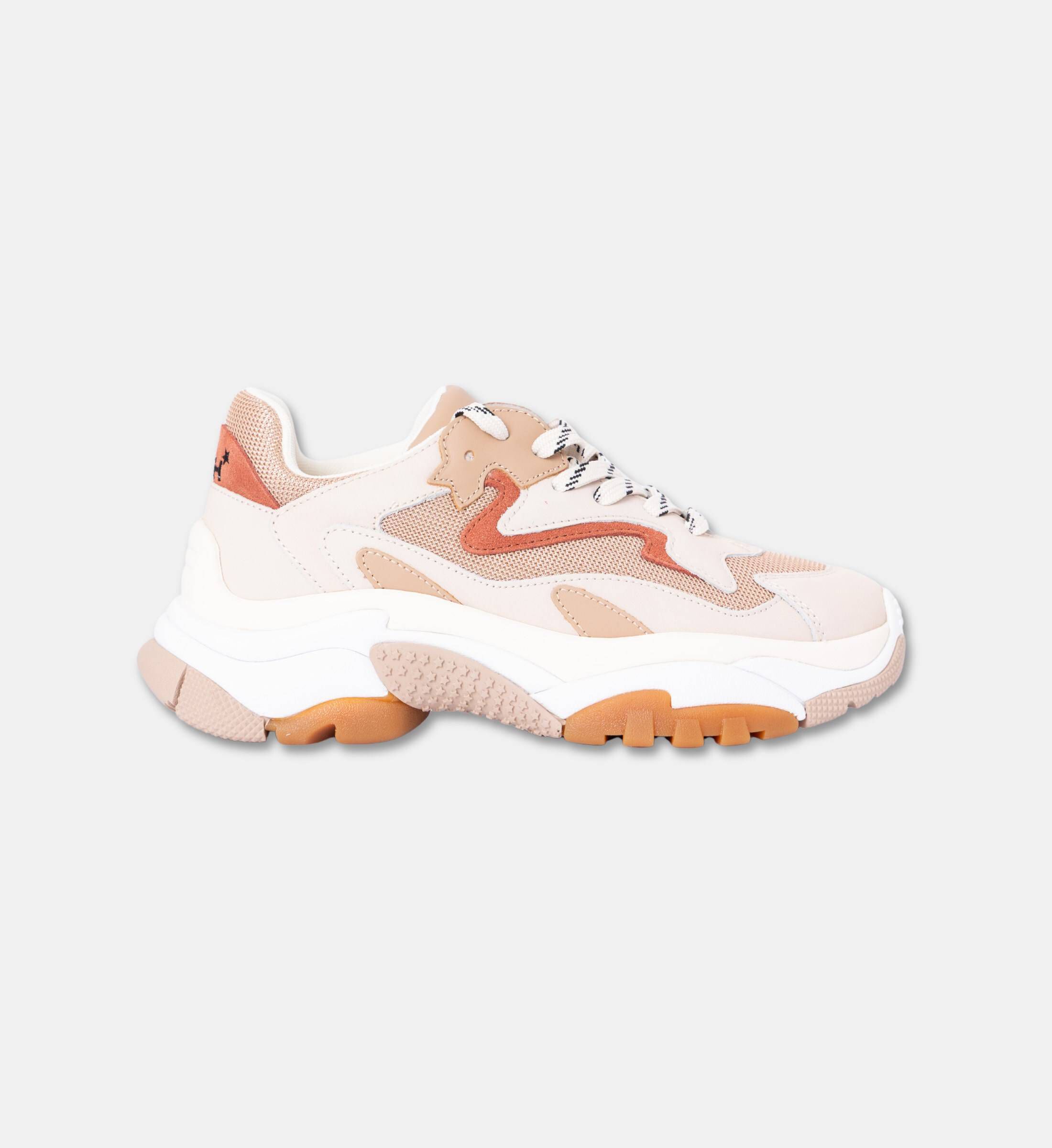 ash high top sneakers