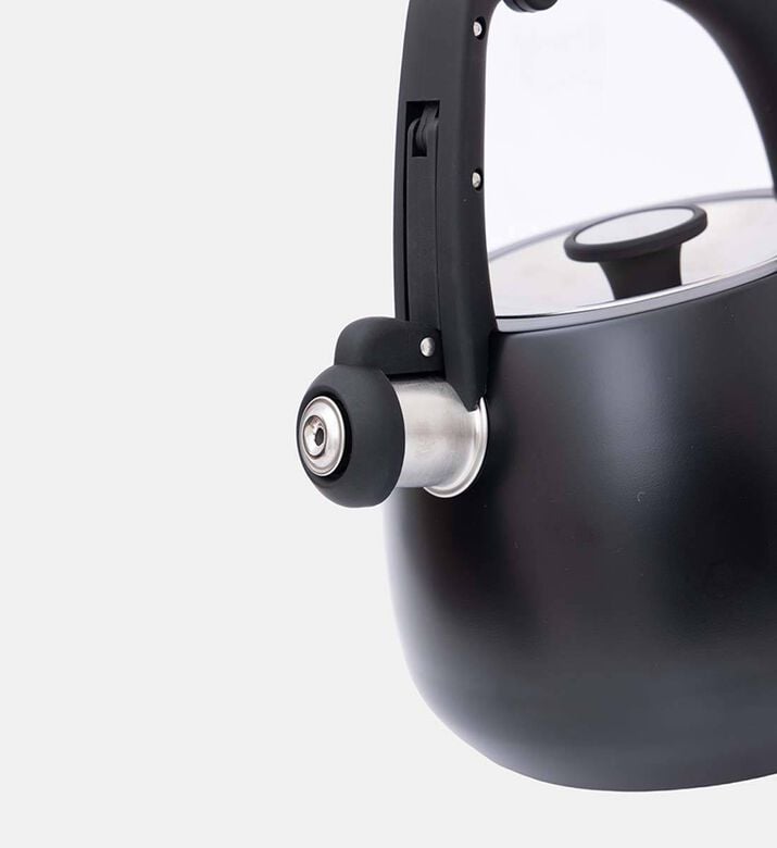 Home Deco and More Whistling Kettle 2.5l, Packshot View