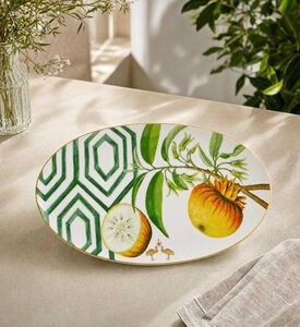 Vista Alegre Amazonia Oval Plate, Model View