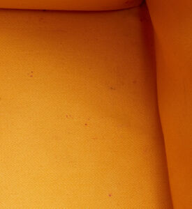 Goyard Preowned Goyardine Coated Canvas Mm Top Handle Bag, Packshot View