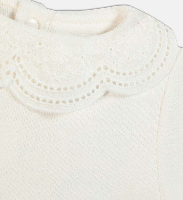 Ribbed Lace Collar T-shirt