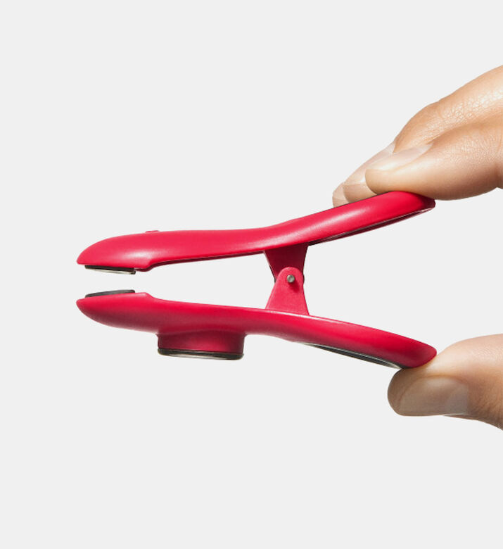 Magnetic All- Purpose Clips