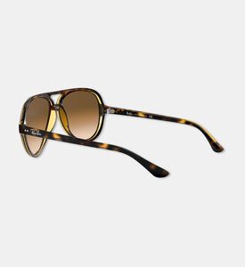 Rayban Sunglass, Packshot View