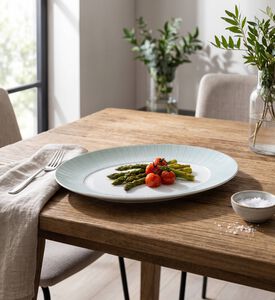 Vista Alegre Degrade Platinum Dinner Plate, Model View