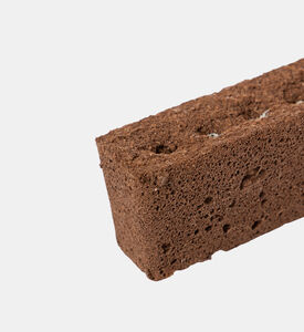 Veritable Gardens Organic Lettuce Butterhead, Packshot View