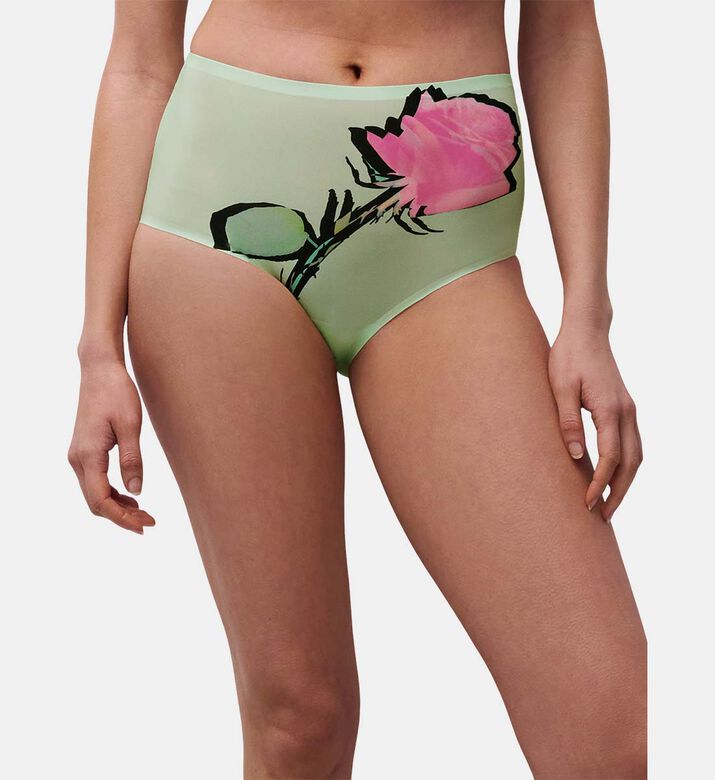 Chantelle Brief, Model View