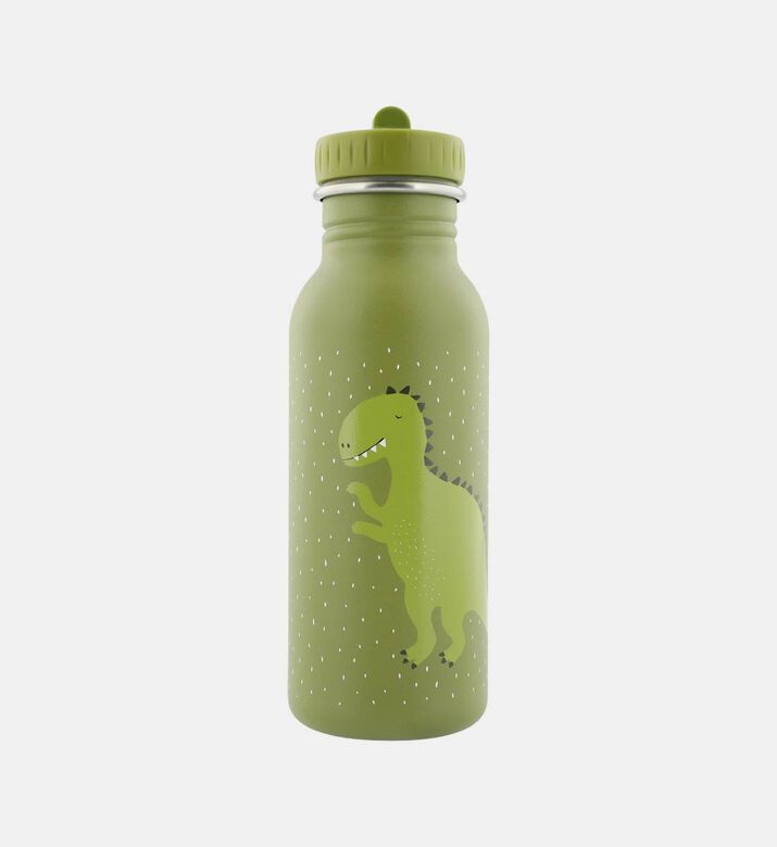 Dino Stainless Steel Bottle