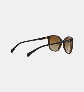Acetate Square Shape Sunglasses 55