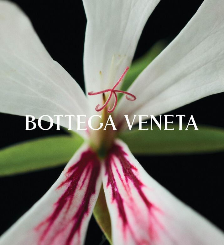 Bottega Venetta Edp Deja Minuit, Packshot View