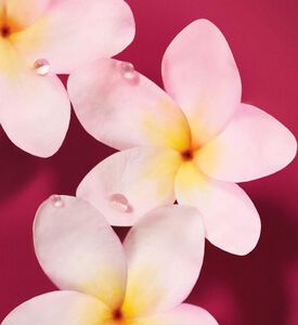 Armani Beauty Edp Ar Ea New, 50-ml, Packshot View