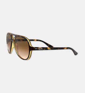 Rayban Sunglass, Packshot View
