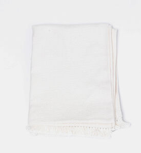 Swan Fringe Lace Cotton Throw