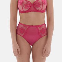 Intrigue Embroidered Retro Brief