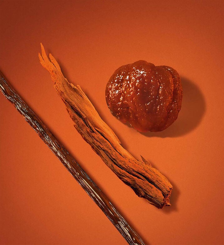 Armani Beauty Stronger With You Spices Eau De Parfum, Packshot View