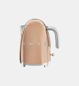 Standard Stainless Steel Kettle