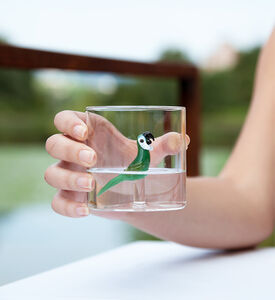 كوب زجاج بورسليكات ببغاء