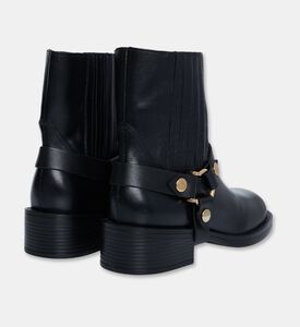 Arezzo Shoes Ankle Boot, Packshot View