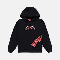 Daily Regular Embroidered Hoodie